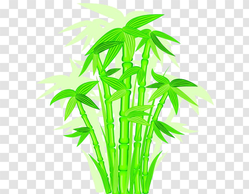 Bamboo Euclidean Vector - Scalable Graphics - Painted Cartoon Picture Transparent PNG