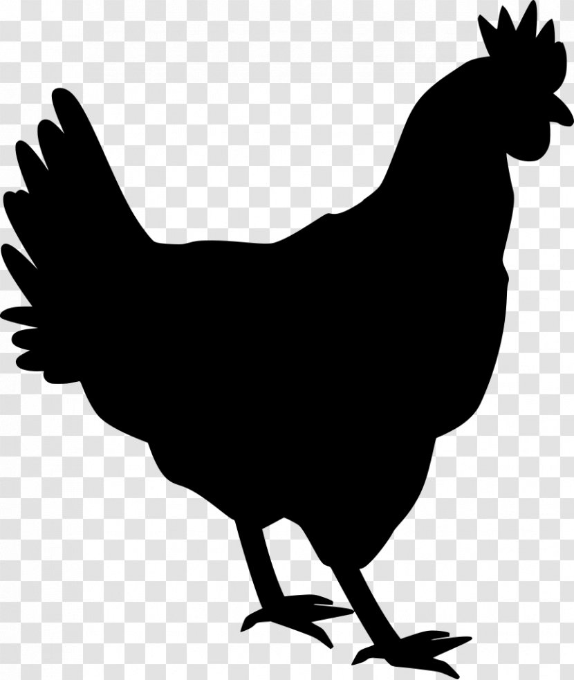 Rooster Chicken Bird Beak Comb - Wing Blackandwhite Transparent PNG