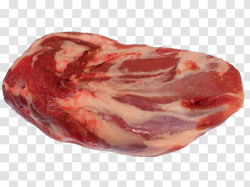 Ham Prosciutto Game Meat Soppressata Capocollo - Cartoon Transparent PNG