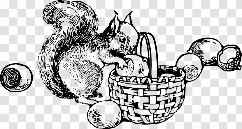 Drawing Coloring Book Nut Clip Art - Child - Squirrel Transparent PNG