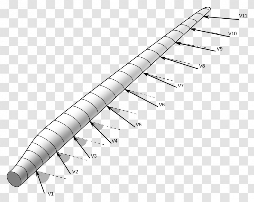 Wind Farm Turbine Blade - Machine - Section Vector Transparent PNG