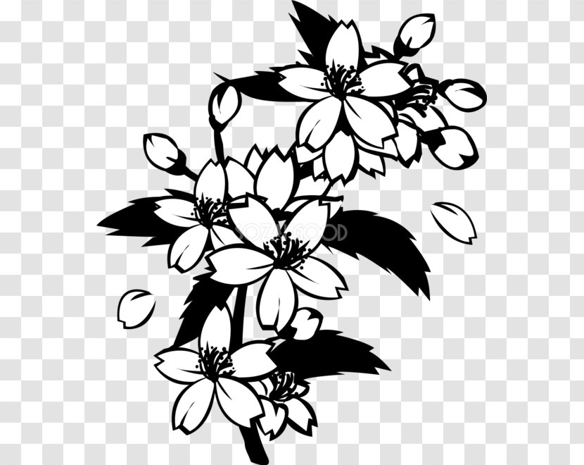 Black And White Monochrome Painting Cherry Blossom - Design Transparent PNG