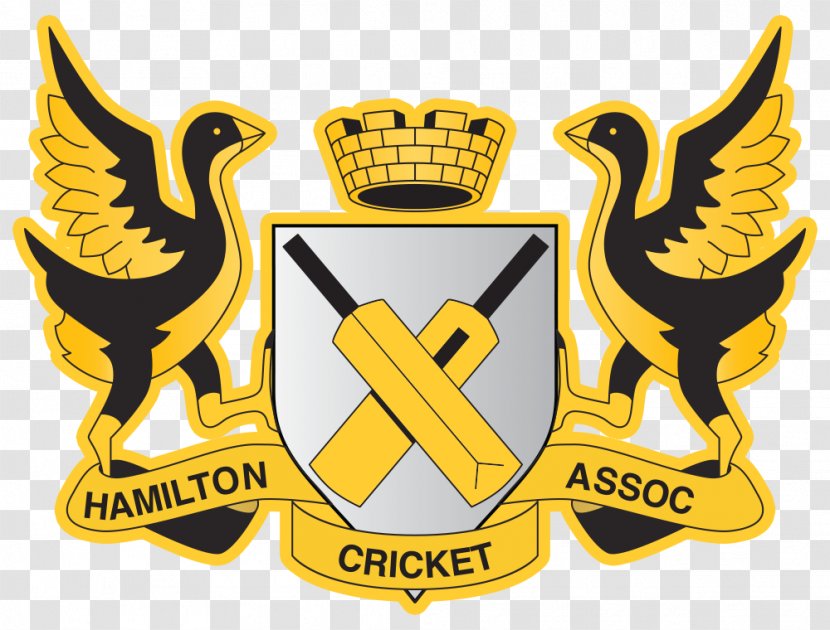 New Zealand National Cricket Team Northern Districts Logo Hamilton - Crichq Transparent PNG