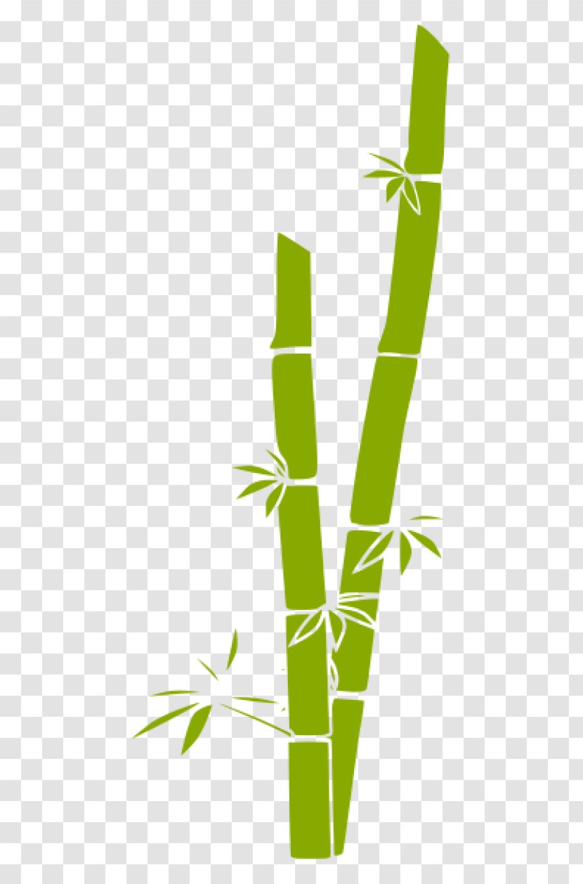 Bamboo Grasses Clip Art Transparent PNG