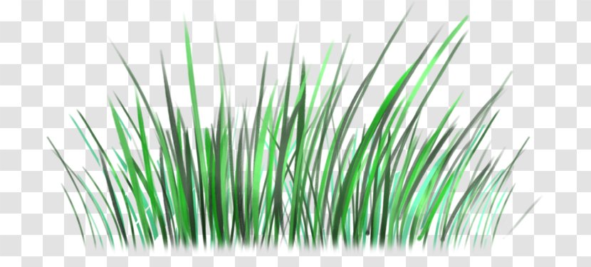 Green Grasses Line - Love The Natural Environment Transparent PNG