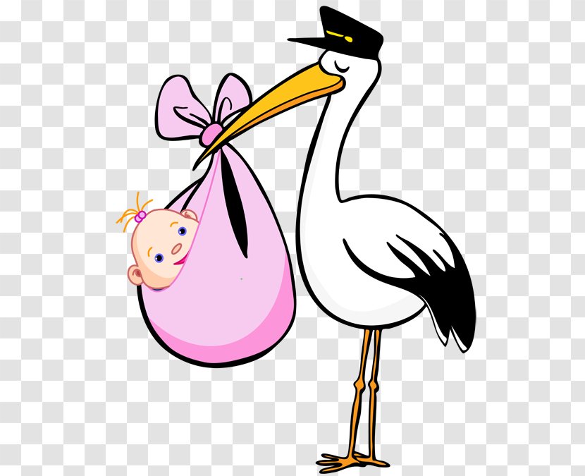 Bird Stork Cartoon Clip Art - Infant - Free Clipart Transparent PNG