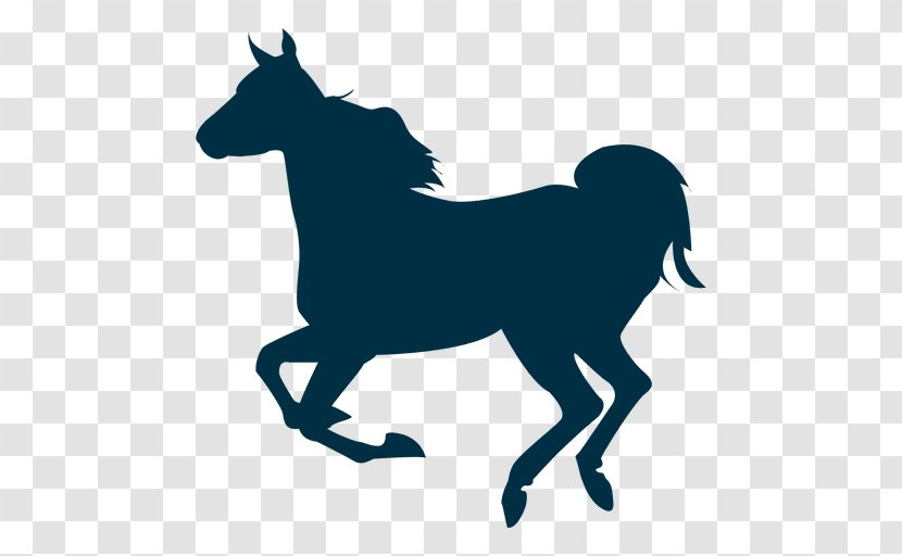 Mustang Gallop Pony Stallion Silhouette - Organism Transparent PNG