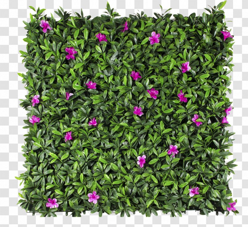 Follaje Green Wall Garden Hedge - Grass - Petunias Transparent PNG