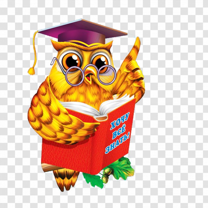 Diploma Kindergarten School Paper Educator - Standard Size - Owl Transparent PNG
