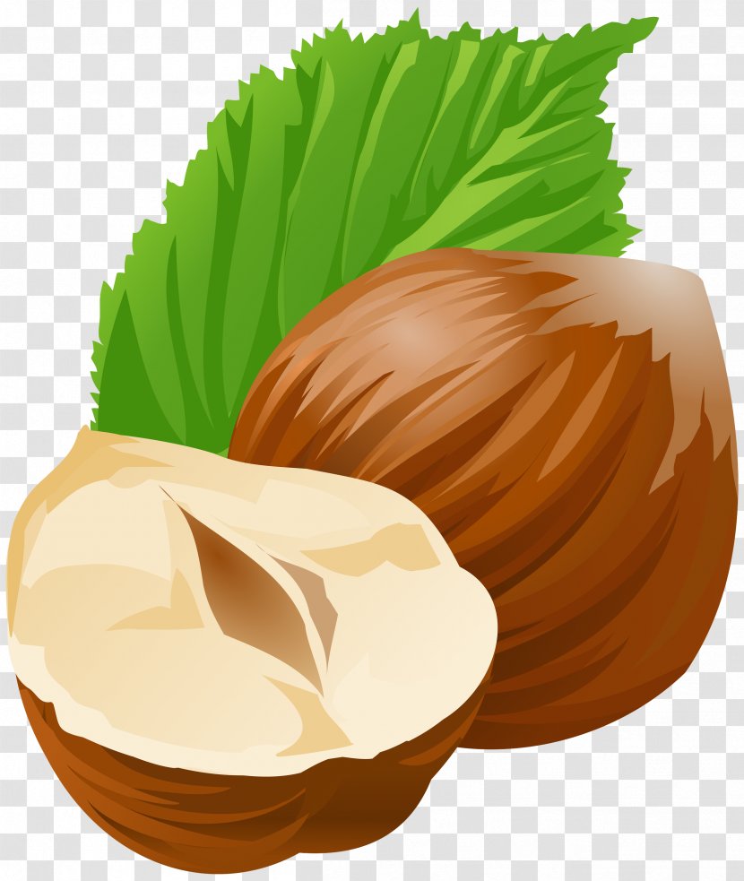Coconut - Plant - Chestnut Transparent PNG