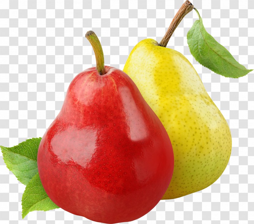European Pear Fruit Food Eating Health - Diet Transparent PNG