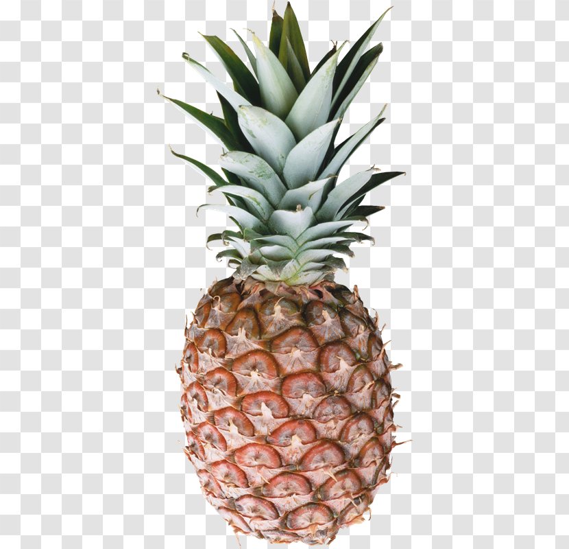 Pineapple Juice Piña Colada Smoothie - Bromeliaceae - Fruta Transparent PNG