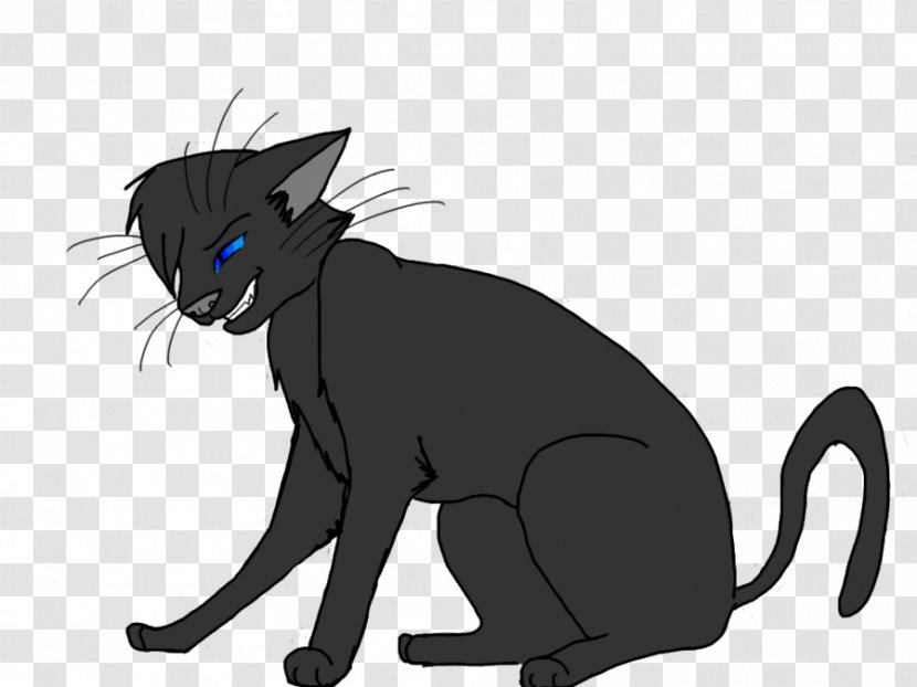 Korat Kitten Black Cat Whiskers Domestic Short-haired - Vertebrate - Mourning Transparent PNG