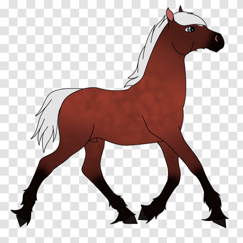 Mustang Stallion Foal Pony Mare - Mane - Silver Guardian Transparent PNG