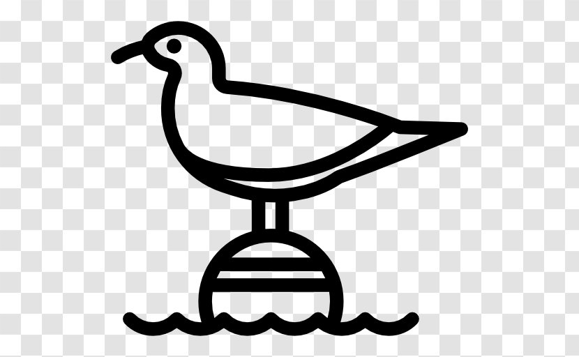 Gulls Bird Clip Art - Water - Seagull Transparent PNG