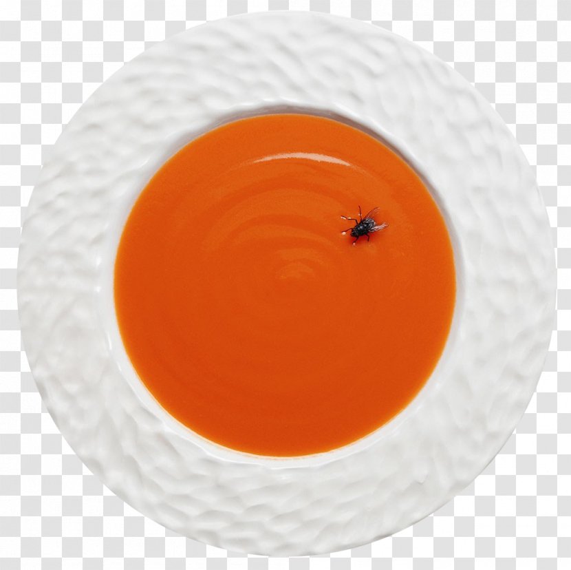 Dish Network - Fly In Soup Transparent PNG