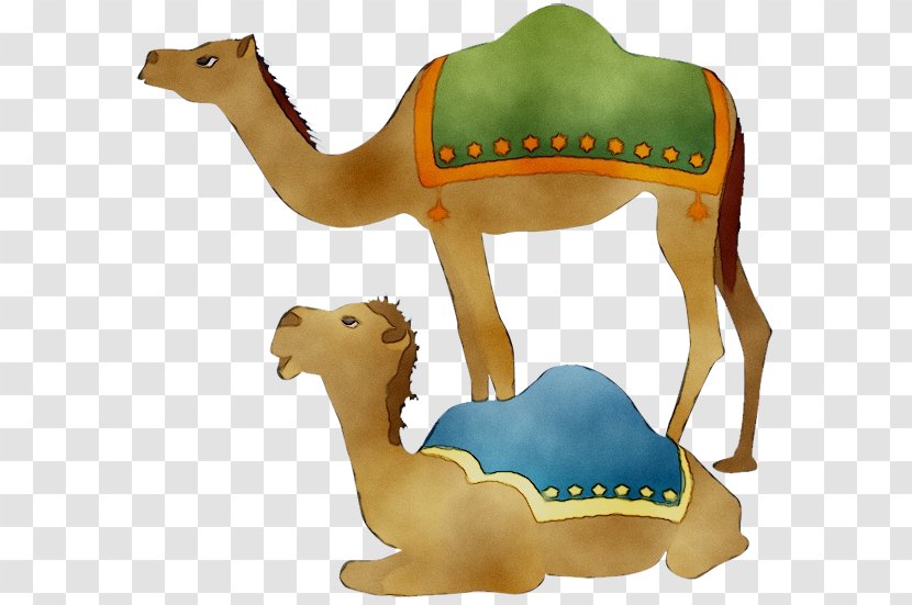 Dromedary Nativity Scene Christmas Day Design Animal Camel Figure Transparent Png