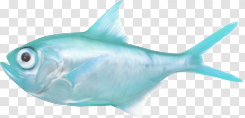 Shark Saltwater Fish Sea Clip Art - Ornamental - Dory Transparent PNG