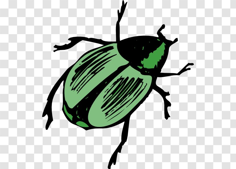 Volkswagen Beetle Clip Art - Colorado Potato - Bug Transparent PNG