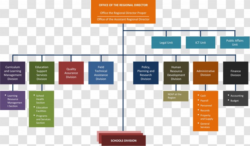 Organizational Structure Department Of Education Chart Division - Organization Transparent PNG
