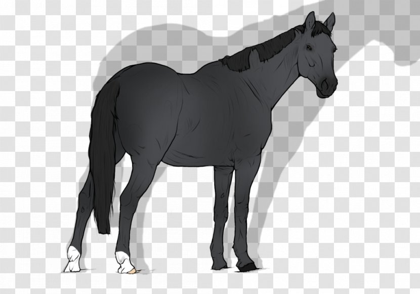 Mane Mustang Stallion Foal Mare - Waddle Penguin Transparent PNG