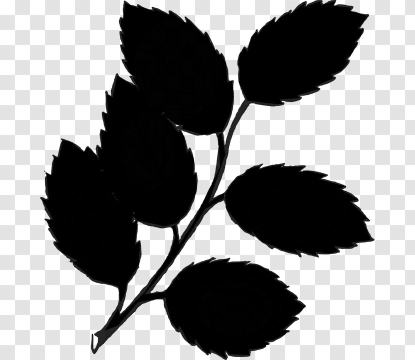 Lemon Tree - Leaf - Blackandwhite Flower Transparent PNG