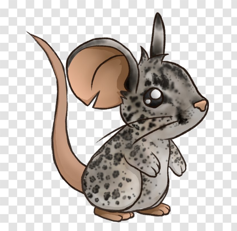 Whiskers Domestic Rabbit Hare Leopard Cat - Mammal Transparent PNG