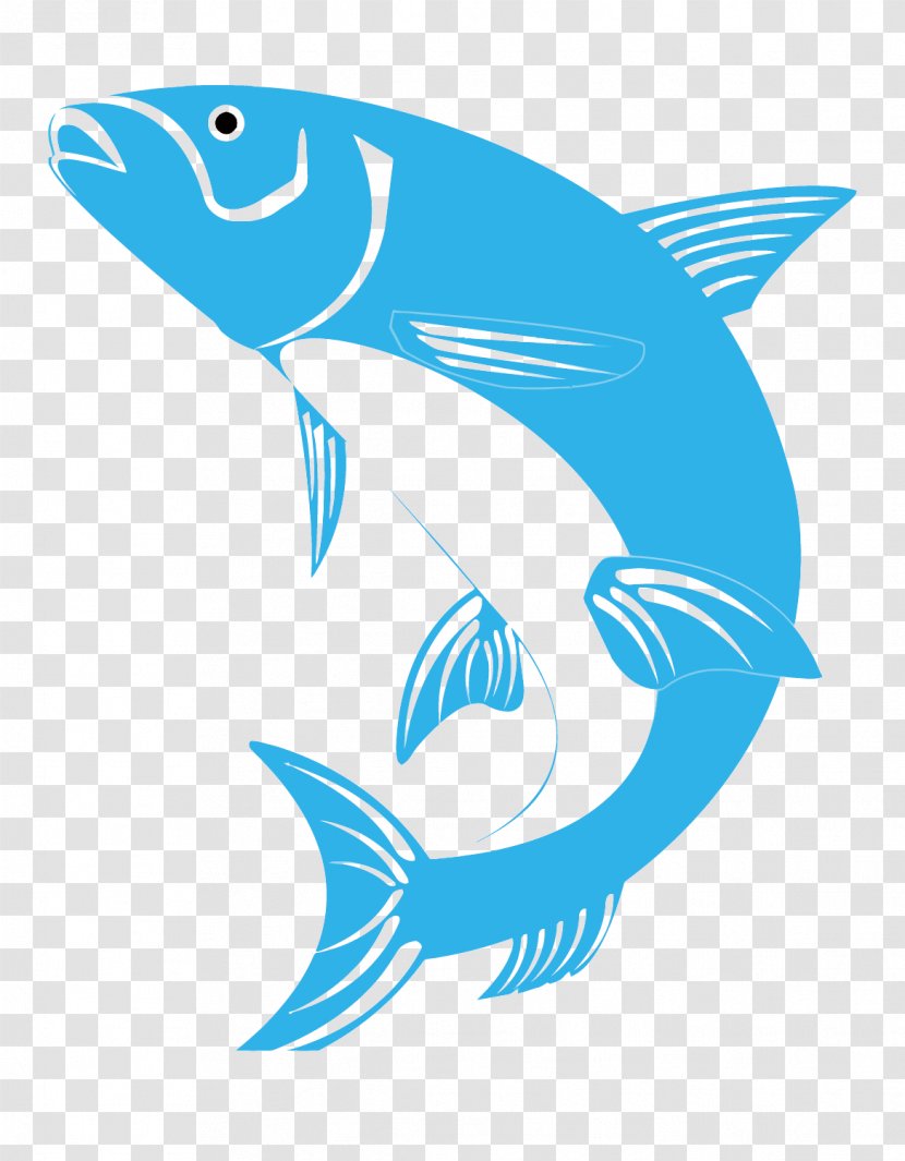Vector Fishing Association - Marine Mammal - Illustration Transparent PNG