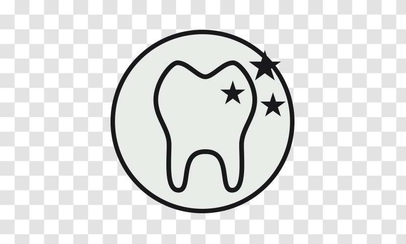 Whiskers Cat Mammal DENTAL CLINIC BERNABEU Sevilla Indian Elephant - Cartoon Transparent PNG