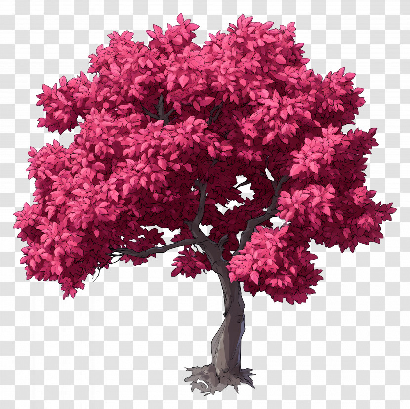 Tree Plan - Pink-Leaved Tree Illustration Transparent PNG