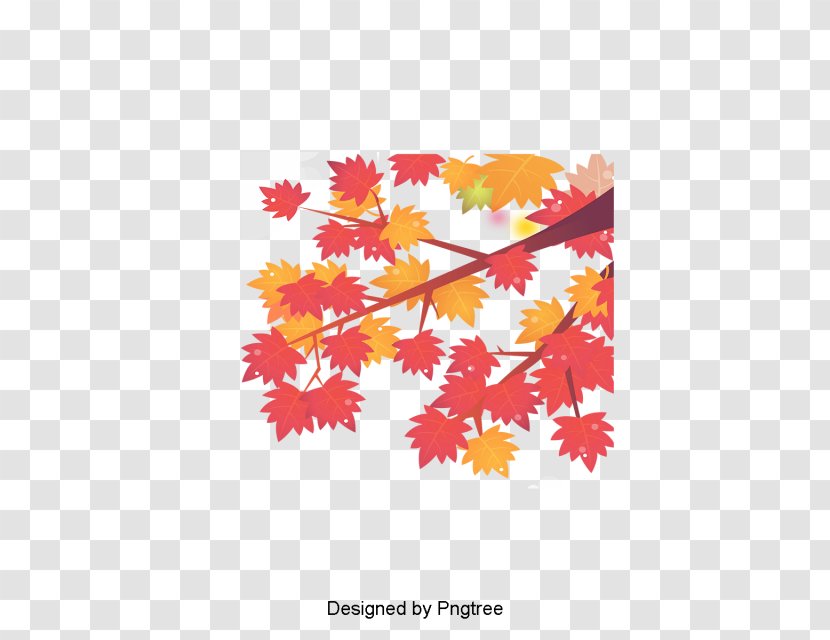 Autumn Design Image Maple Leaf Transparent PNG