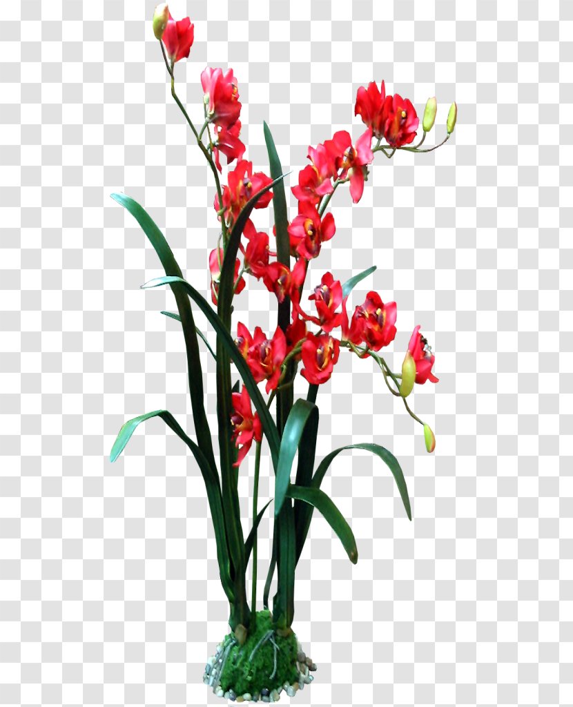 Cut Flowers Google Images Floral Design - Flower Arranging - Red Orchid Transparent PNG