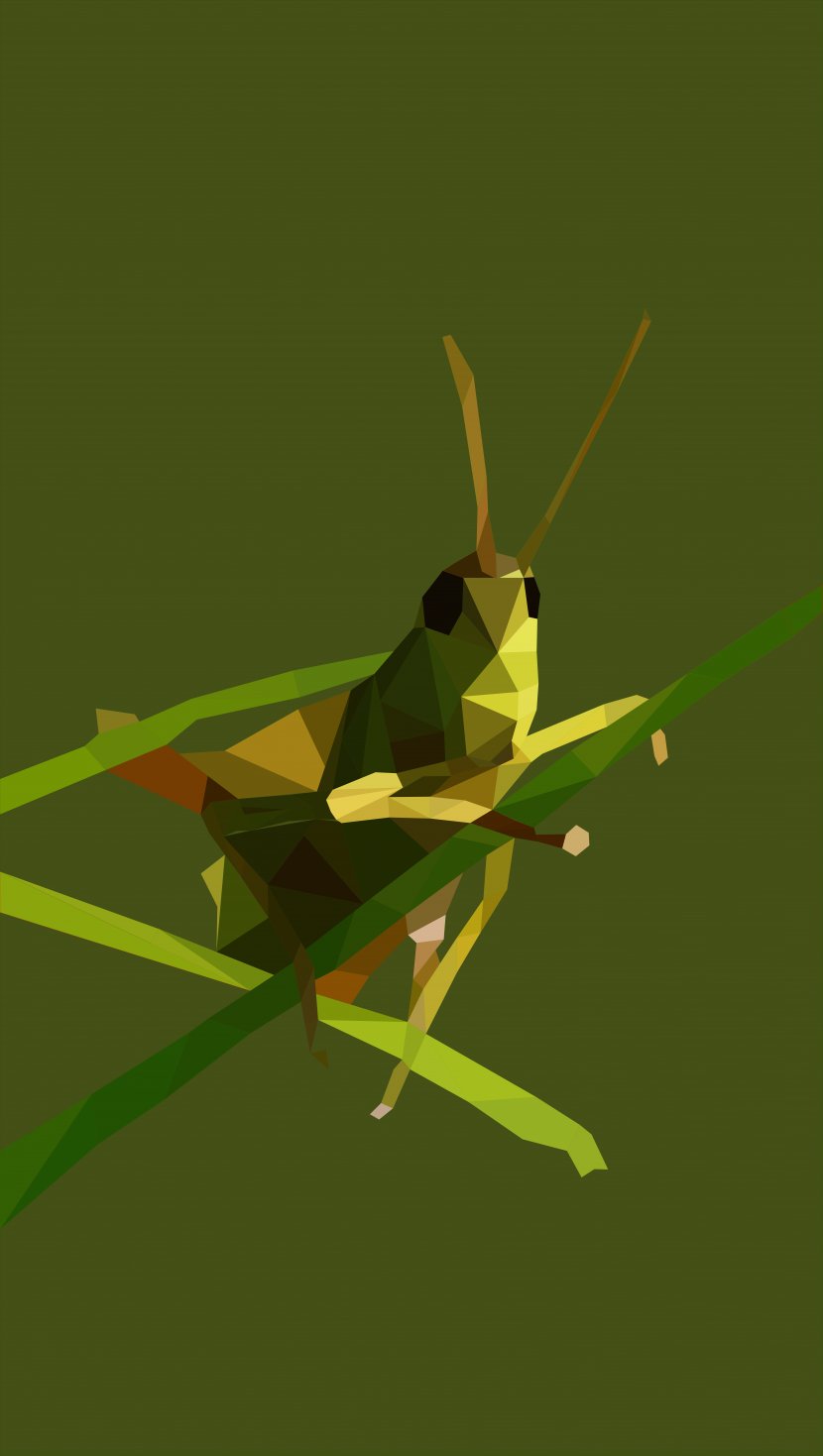 Grasshopper Insect Tettigonia Viridissima Locust Mantis - Cricket Like Transparent PNG