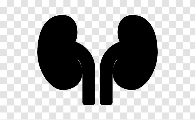 World Kidney Day Medicine Urology - Heart Transparent PNG