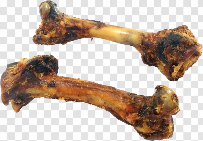 Kohepets Dog Bone Food - Meat Transparent PNG