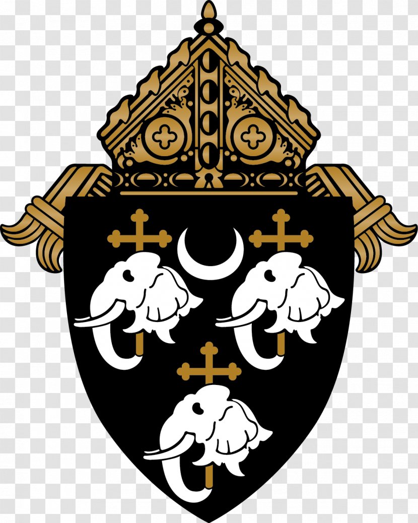 Roman Catholic Diocese Of Camden St. Joseph Pro-Cathedral Bishop Parish - Symbol Transparent PNG