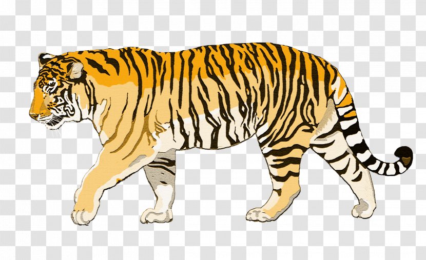 Felidae Bengal Tiger Sumatran Cat Lion - Milk Biscuits Transparent PNG