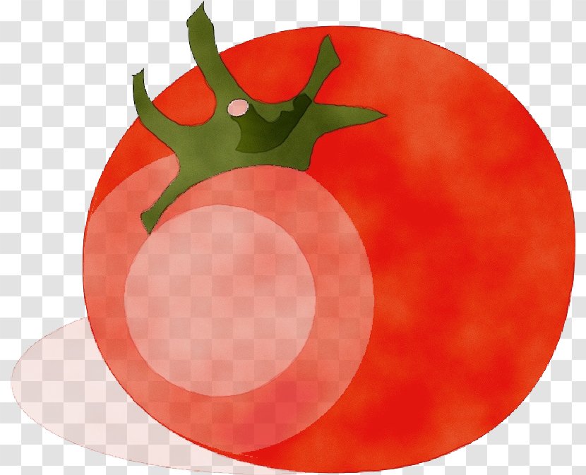 Tomato - Wet Ink - Seedless Fruit Nightshade Family Transparent PNG