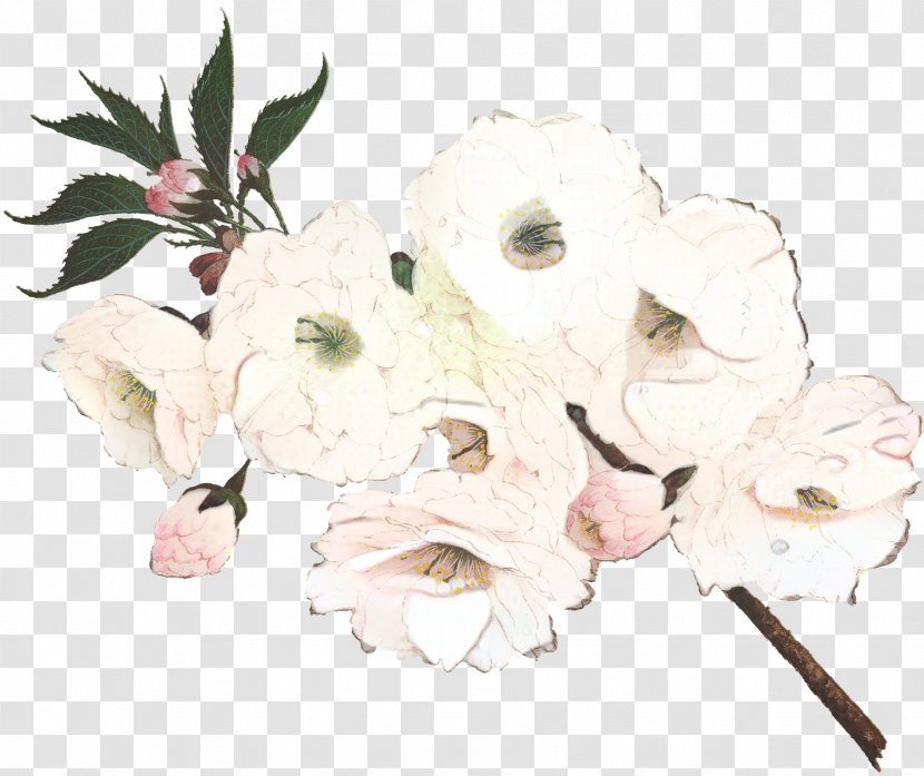 Flowers Background - White - Rhododendron Azalea Transparent PNG
