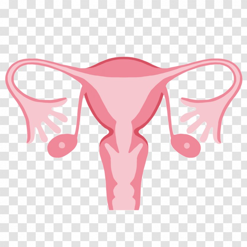Intrauterine Device Uterus Birth Control Ovary Menstruation - Cartoon - Watercolor Transparent PNG
