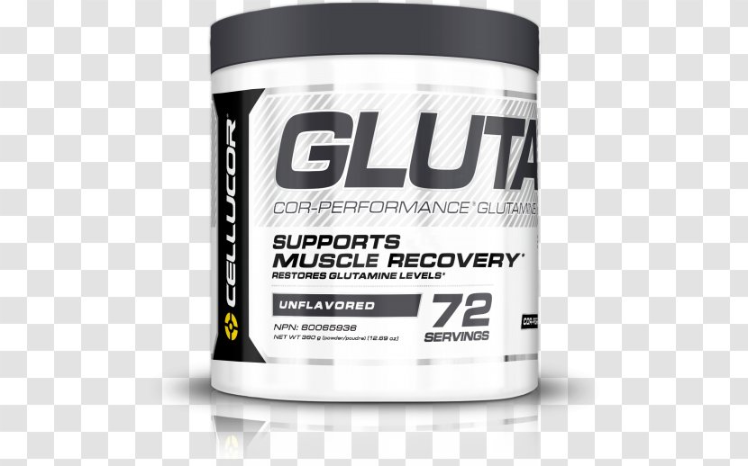 Dietary Supplement Glutamine Cellucor Bodybuilding Branched-chain Amino Acid Transparent PNG