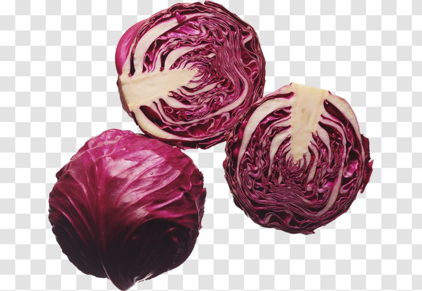 Red Cabbage Health Nutrition Eating - Anthocyanin Transparent PNG