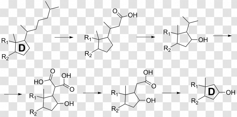 Fire Salamander Samandarin Alkaloid Steroid - Parotoid Gland - Cholesterol Transparent PNG