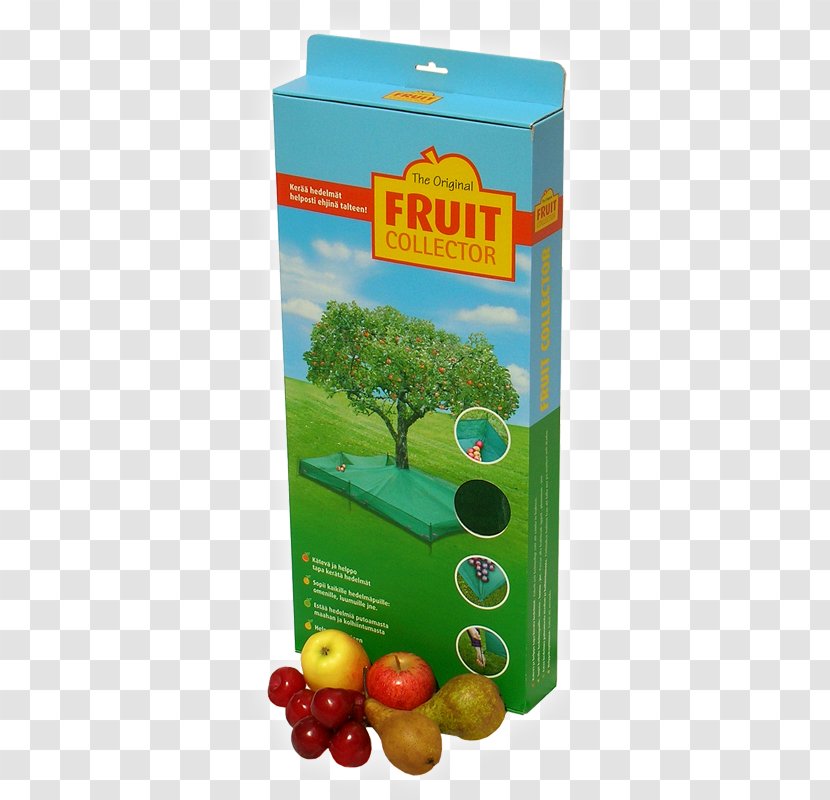 Fruit Tree Apple Plum Cherry - Shop Transparent PNG