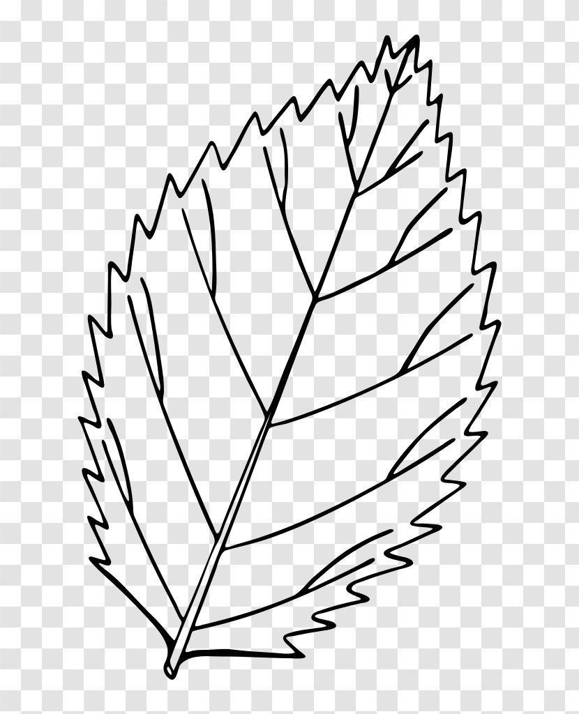 Autumn Leaf Color Drawing Red Maple Clip Art - Coloring Book Transparent PNG
