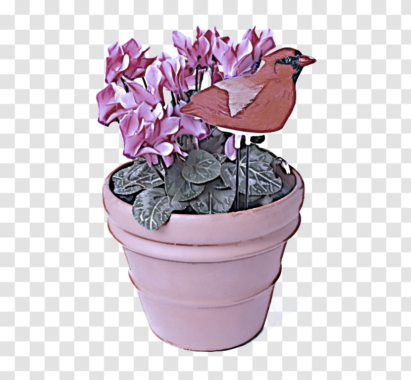 Flower Flowerpot Plant Violet Flowering - Petal - Hydrangea Transparent PNG