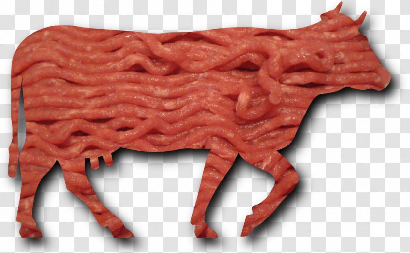 Cattle University Of California, San Diego Red Meat Lamb And Mutton Hot Dog - Cartoon Transparent PNG