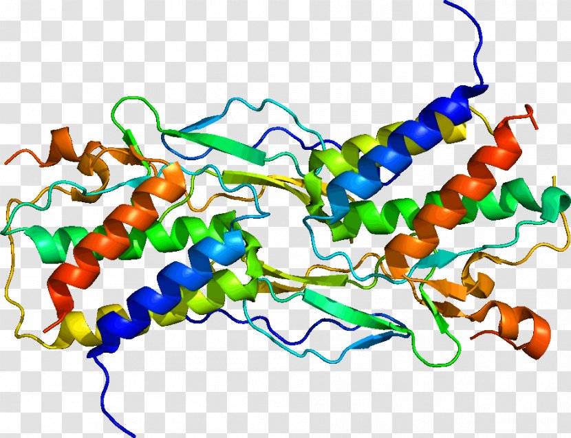 Interleukin 15 Interleukin-2 IL-2 Receptor Cytokine - Il2 - Membrane Transparent PNG