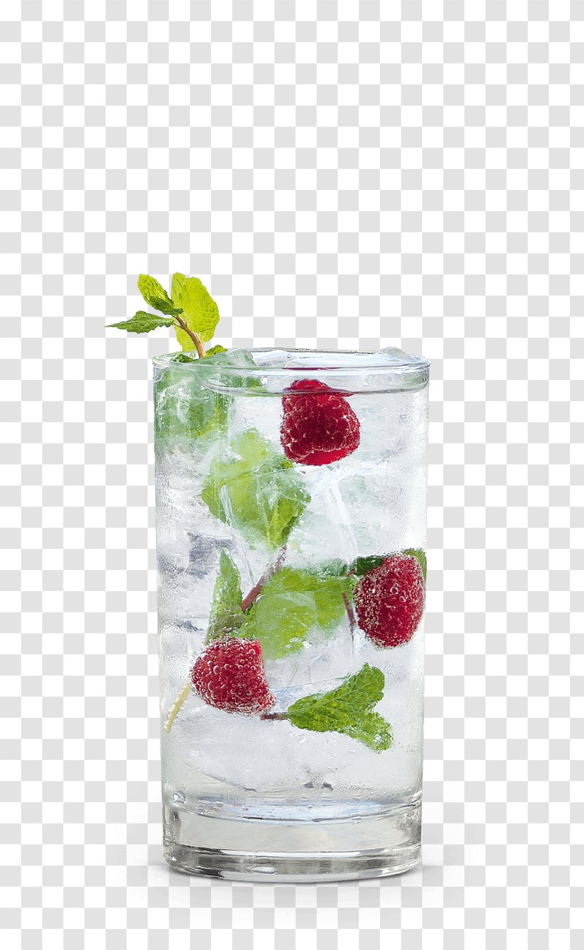 Gin And Tonic Vodka Schnapps Cocktail Garnish - Superfood Transparent PNG