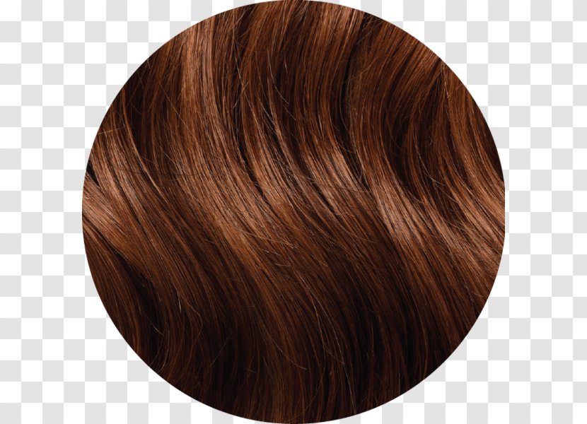 Long Hair Artificial Integrations Coloring Brown - Mulberry Transparent PNG